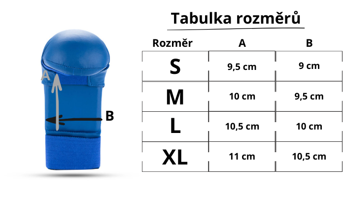 Text odstavce_1